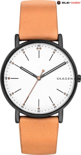 Мужские Skagen Leather SKW6352 фото