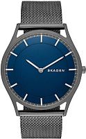 Мужские Skagen Mesh SKW6223 фото