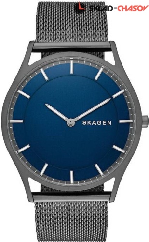 Мужские Skagen Mesh SKW6223 фото