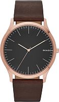 Мужские Skagen LEATHER SKW6330 фото