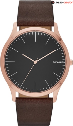 Мужские Skagen LEATHER SKW6330 фото