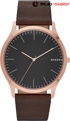 Мужские Skagen LEATHER SKW6330 фото