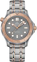 Omega Seamaster 210.60.42.20.99.001 фото