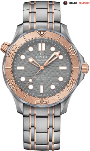Omega Seamaster 210.60.42.20.99.001 фото