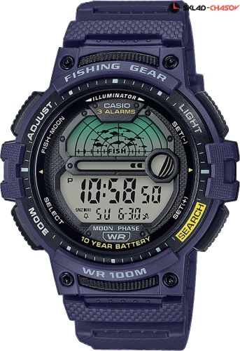 Casio WS-1200H-2AVEF фото