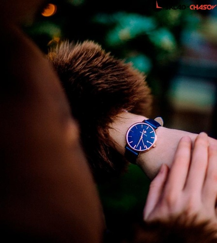 Наручные часы Greenwich Shell GW 301.46.56 фото фото 4