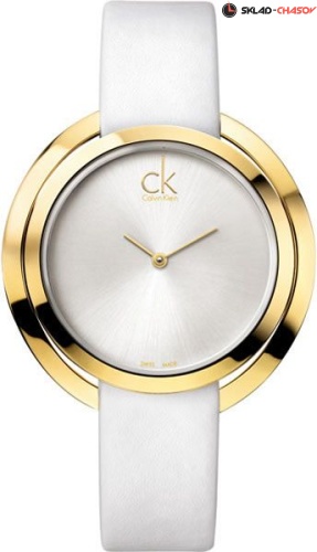 Женские Calvin Klein Aggregate K3U235L6 фото