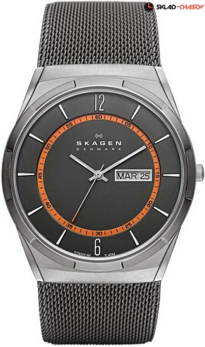 Мужские Skagen Titanium SKW6007 фото