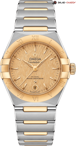 Omega 13120292008001 фото