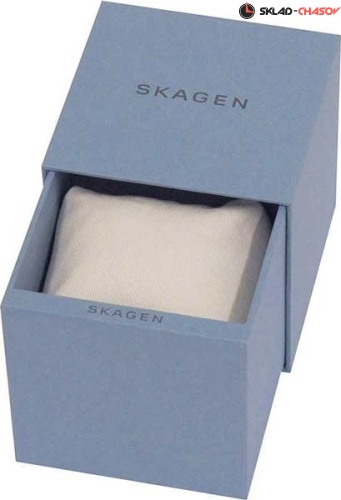 Женские Skagen Mesh SKW2701 фото фото 2