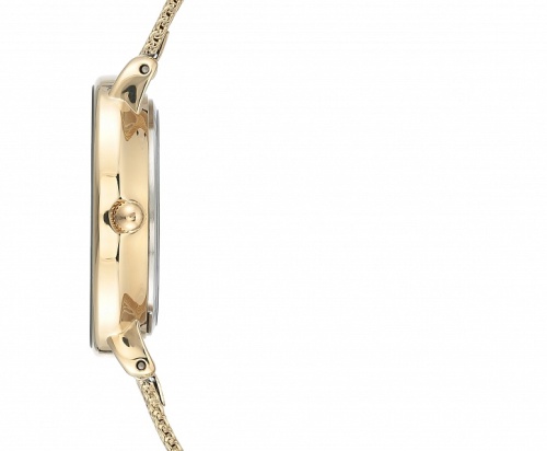 Anne Klein 3686BKGB фото фото 3