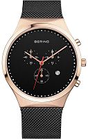 Наручные часы Bering Classic 14740-166 фото