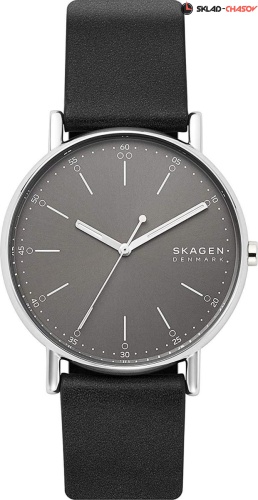 Женские Skagen Holst SKW6654 фото