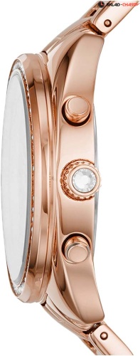 Fossil BQ3659 фото фото 2