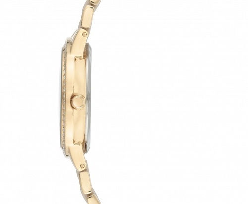 Anne Klein 3672TNGB фото фото 3