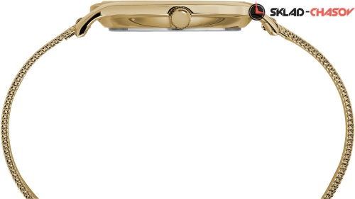 Timex TW2R36100RY фото фото 2