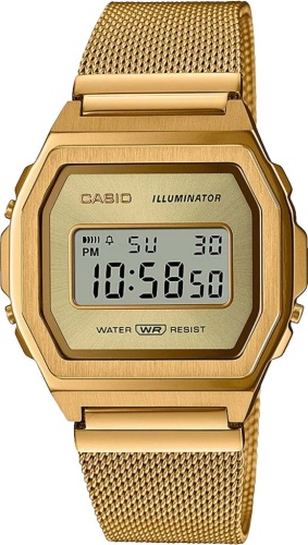 Casio G-Shock A1000MG-9EF фото