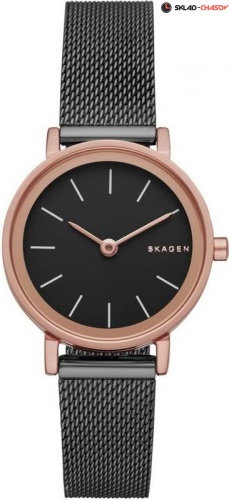 Женские Skagen Mesh SKW2492 фото