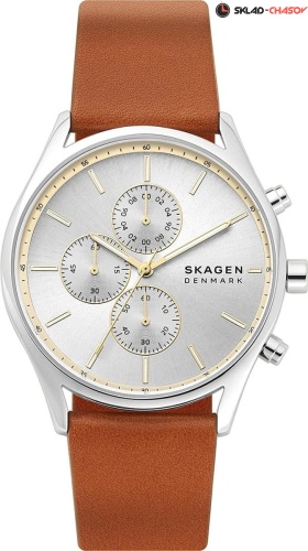 Мужские Skagen Holst SKW6607 фото