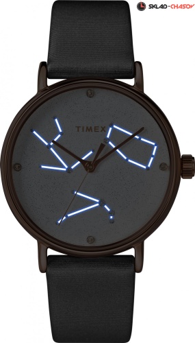 Timex TW2T87500VN фото фото 5