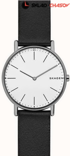 Мужские Skagen Leather SKW6419 фото