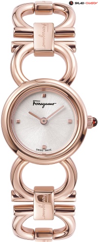 Salvatore Ferragamo SFYD00321 фото