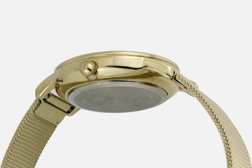 Anne Klein 3722TMGB фото фото 4