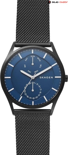 Мужские Skagen Mesh SKW6450 фото