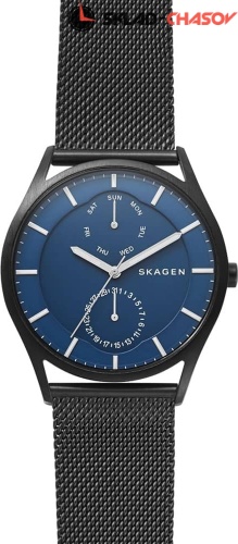 Мужские Skagen Mesh SKW6450 фото
