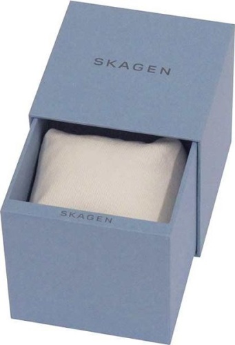 Женские Skagen Signature SKW2838 фото фото 2