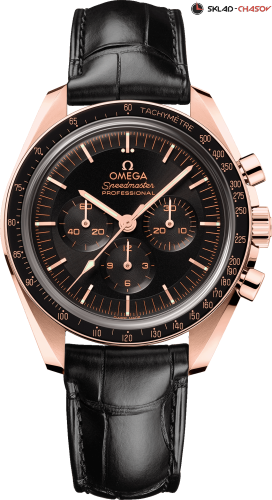 Omega 31063425001001 фото