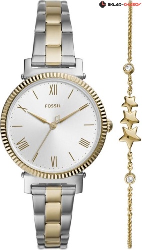 Fossil Daisy ES4914SET фото