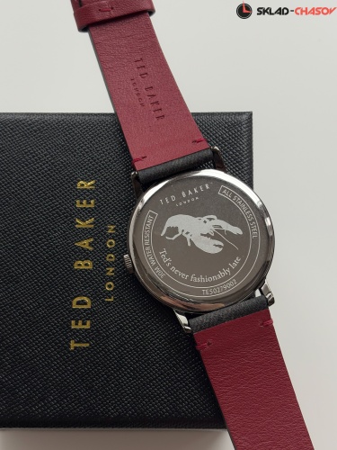 Наручные часы Ted Baker TE50279002 фото фото 6