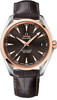 Omega Seamaster 231.13.42.21.06.001 фото