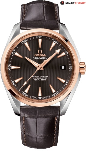Omega Seamaster 231.13.42.21.06.001 фото