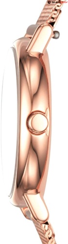 Женские Skagen Signatur SKW2694 фото фото 2