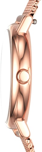 Женские Skagen Signatur SKW2694 фото фото 2