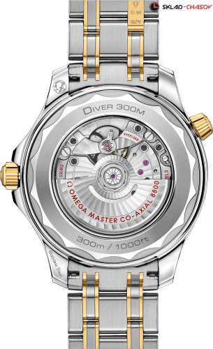 Omega 21020422001002 фото фото 2