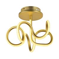 Потолочный светодиодный светильник Arti Lampadari Angelo L 1.2.35.06 G фото