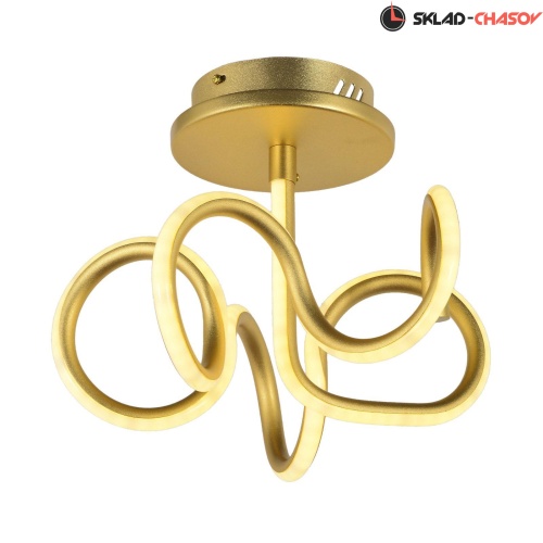 Потолочный светодиодный светильник Arti Lampadari Angelo L 1.2.35.06 G фото
