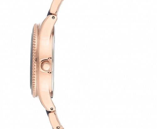 Anne Klein 3770NVRG фото фото 3