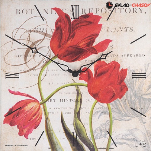 Tomas Stern 6025 фото