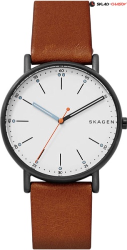 Skagen SKW6374 фото