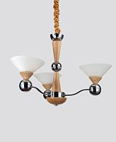 Люстра Lucia Tucci Natura 149.3 фото