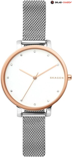 Женские Skagen Hagen SKW2662 фото