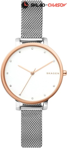 Женские Skagen Hagen SKW2662 фото