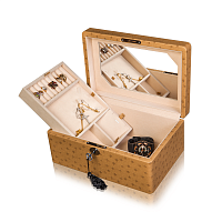 ALTITUDE Шкатулка для хранения украшений (кожа) фото