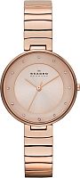 Женские Skagen Links SKW2227 фото