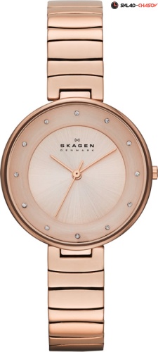 Женские Skagen Links SKW2227 фото