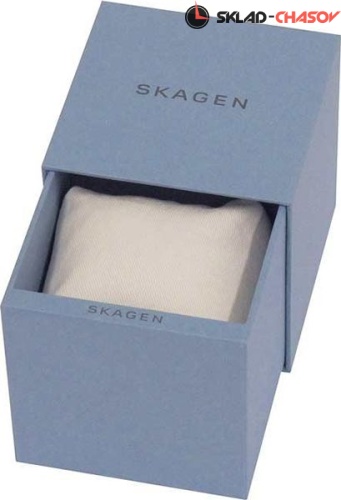 Мужские Skagen Mesh SKW6180 фото фото 2